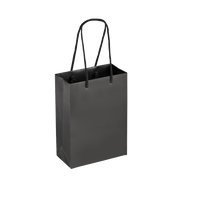Boutique Shopping Bags Black - Laminated (Small) [Min. Order Qty: 100 Bags]
