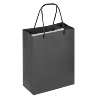 Boutique Shopping Bags Black - Laminated (Large) [Min. Order Qty: 100 Bags]