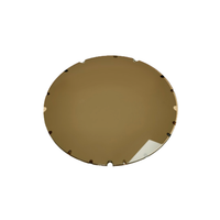 ZEISS CR-39 Polarized (4 Base) w/AR Back Coating