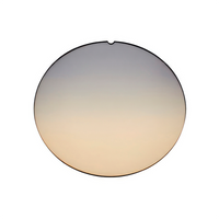 ZEISS Premium CR-39 Dual Gradient Lenses w/AR Back