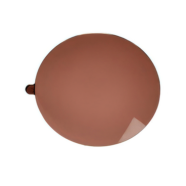 ZEISS Premium Polarized Polyamide Lenses w/AR Back