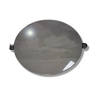 ZEISS Premium Polycarbonate Flash Mirror Lenses w/AR Azure Back