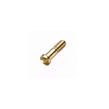 Hinge Screws
