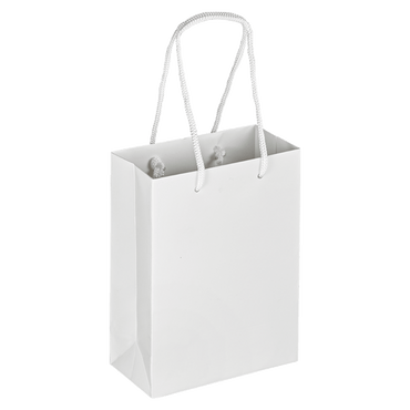 Boutique Shopping Bags White - Laminated (Small) [Min. Order Qty: 100 Bags]