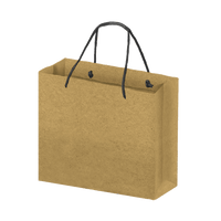 Boutique Eco-Friendly Shopping Bags - Kraft (Large) [Min. Order Qty: 100]